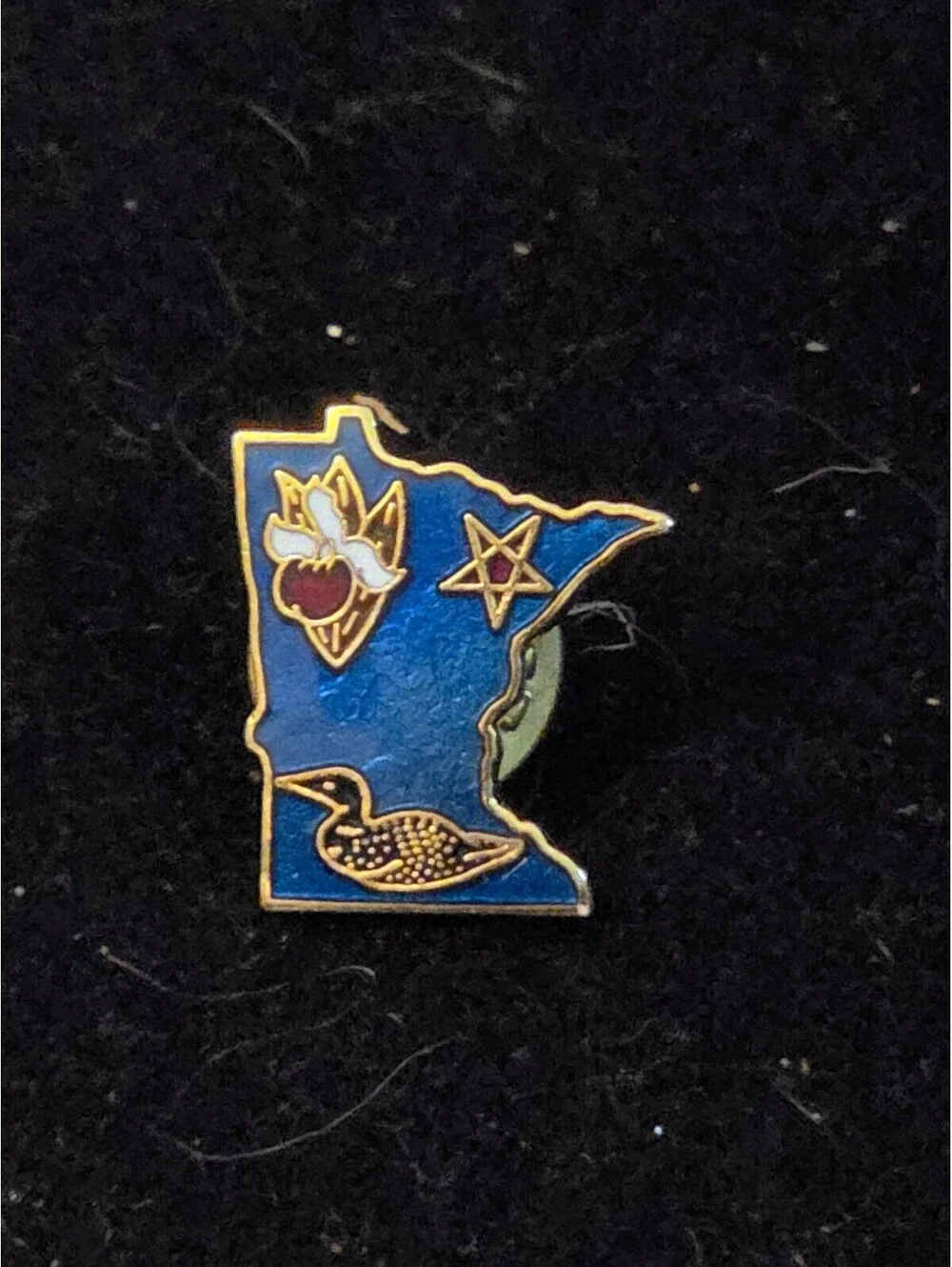 Vintage Minnesota State Shape Enamel Lapel Pin –Loon, North Star, Lady's Slipper